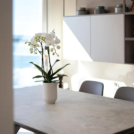 Vue Villa